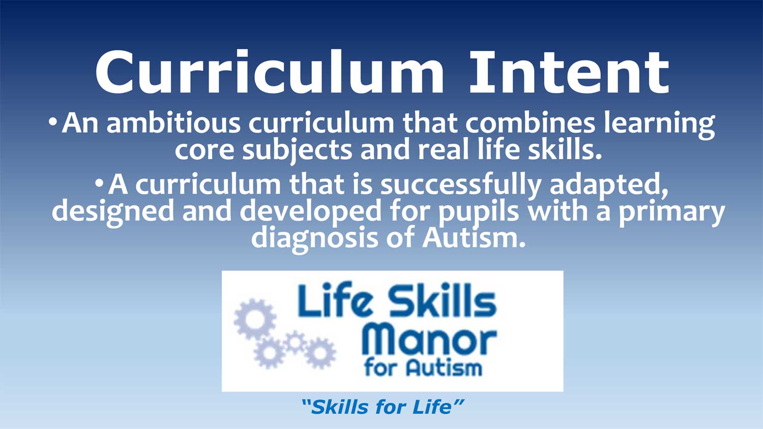 Our Curriculum Intent - Life Skills Manor