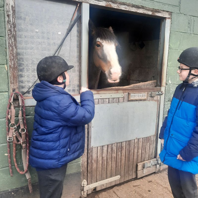 Horse Riding Intervention - Life Skills Manor for Autism Gallery
