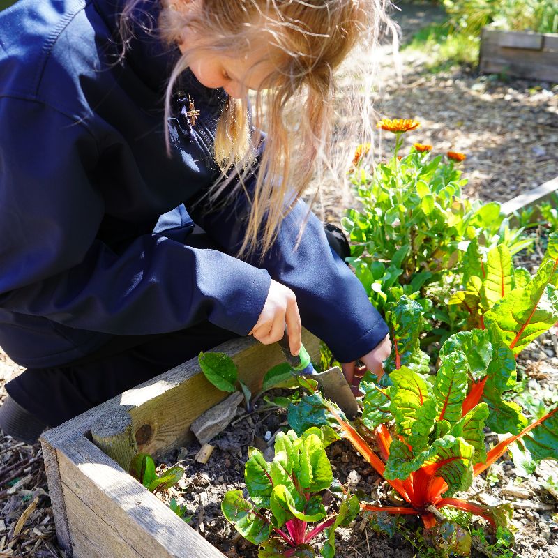 Extra Curricular Learning - Life Skills Manor for Autism