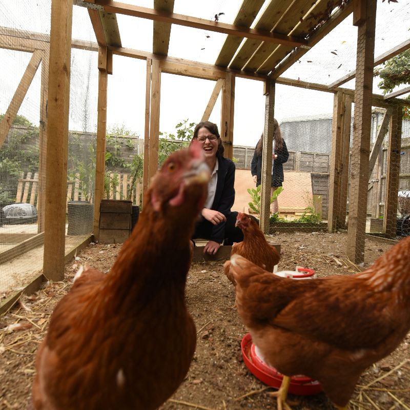 Animal Care - Life Skills Manor for Autism